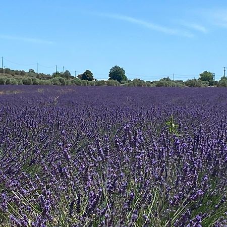 Gite Cocotte Luberon, Forcalquier Pierrerue  Exterior photo