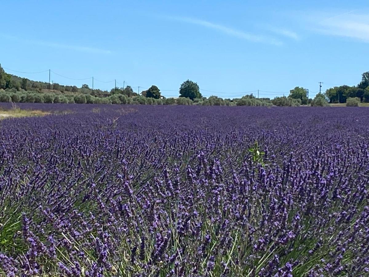 Gite Cocotte Luberon, Forcalquier Pierrerue  Exterior photo