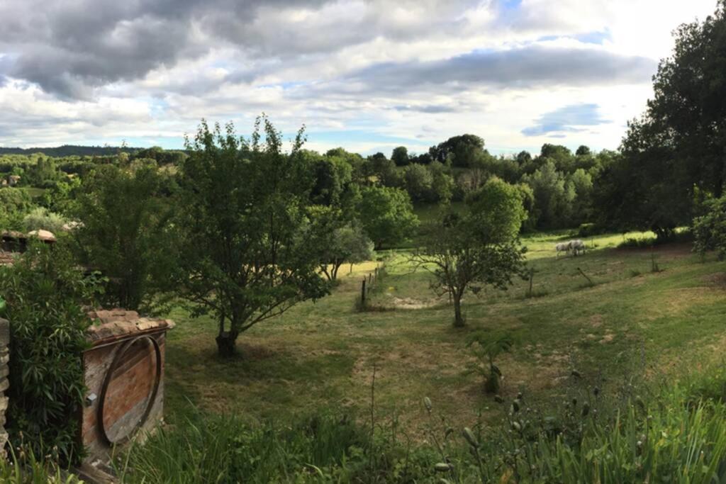 Gite Cocotte Luberon, Forcalquier Pierrerue  Exterior photo